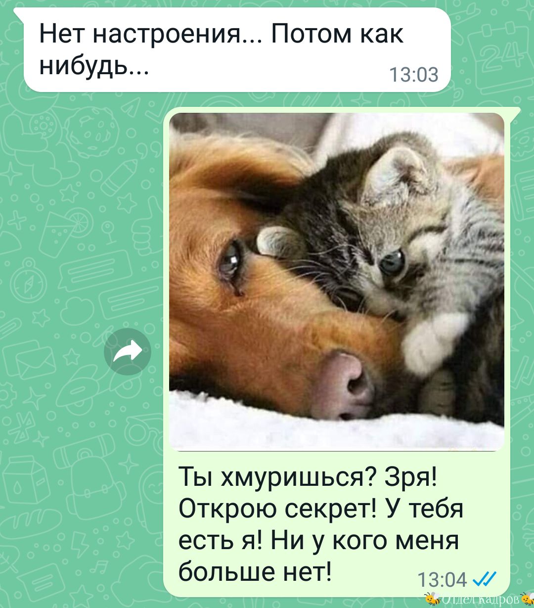 Нет настроения... Потом как нибудь... 13:03 ты хмуришься? Зря! Открою секрет! У тебя есть я! Ни у кого меня больше нет! 13:04  н