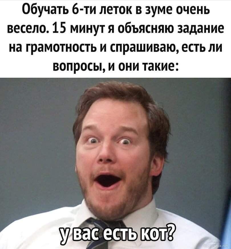 Обучать 6 ти леток в зуме очень весело 15 минут я объясняю задание на грамотность И СПРЗШИВЗЮ есть ЛИ ВОПРОСЫ И ОНИ такие