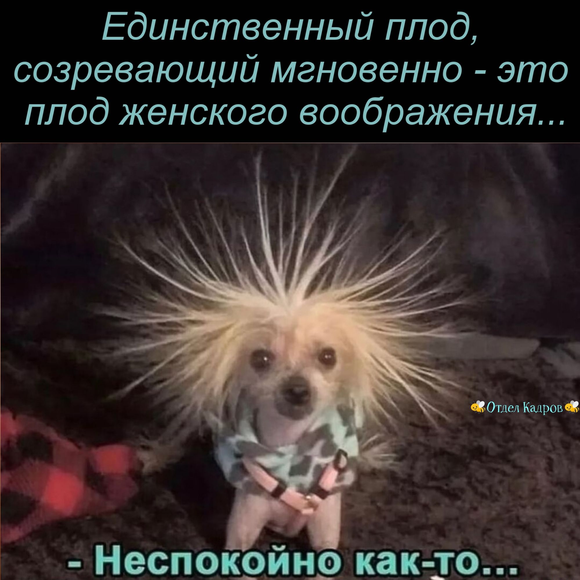 Единственный плод созревающий мгновенно это плод женского воображения ОтделКаЩэов С __ Неспок__йнр как 10