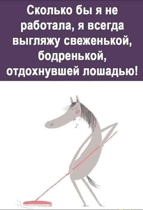 Сколько бы я не работала я всегда выгляжу свеженькой бодренькой отдохнувшей лошадью