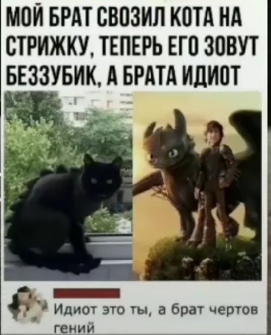 МПГ БРдТ ВВПЗИЛ КПТд Нд СТРИЖКУ ТЕПЕРЬ ЕГО ЗППП БЕЗЗУБИК А БРдТд ИЛИПТ Идиот это ты а брат чертов гений