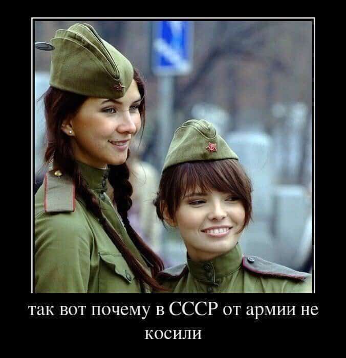 ЗЫ так вот почему в СССР от армуш не косили