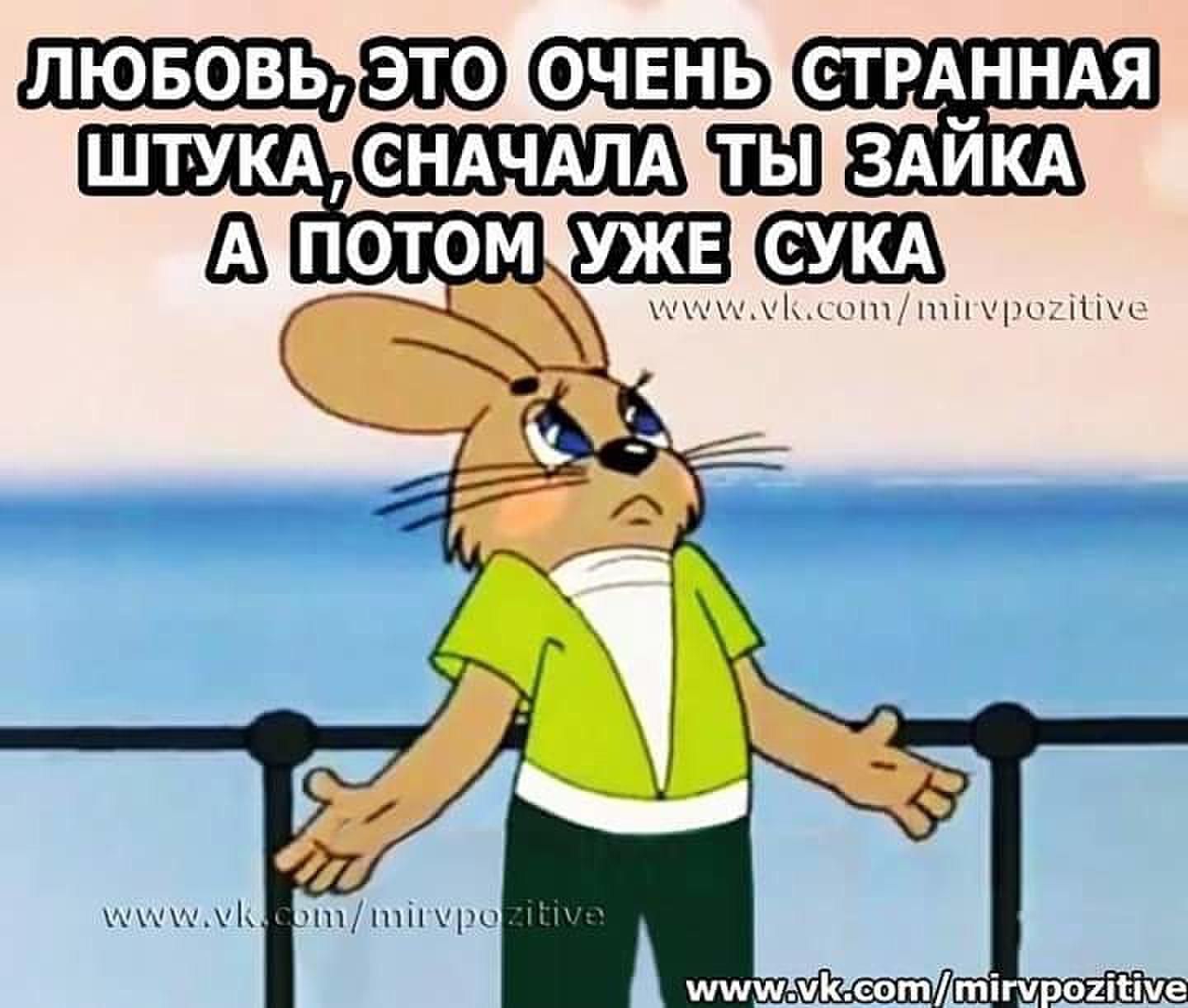 лювовь 919 СТРАННАЯ ШТУКА Ш ЗАЙКА