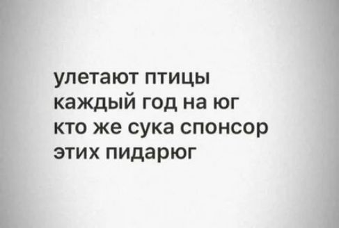 улетают птицы каждый год на юг кто же сука спонсор этих пидарюг