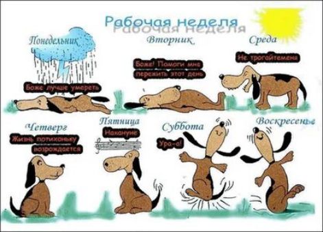 Гитин мы А ч п и _