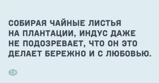 СОБИРАЯ ЧАЙНЫЕ ЛИСТЬЯ НА ПЛАНТАЦИИ индус дАЖЕ НЕ ПОДОЗРЕВАЕТ ЧТО ОН ЭТО дЕЛАЕТ БЕРЕЖНО И с ЛЮБОВЬЮ