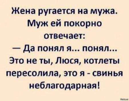 Жена ругается на мужа Муж ей покорно отвечает да понял я понял Это не ты Люся котлеты пересолила это я свинья неблагодарная