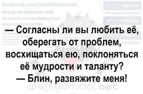 Согласны ли вы любить её оберегать от проблем восхищаться ею поклоняться её мудрости и таланту Блин развяжите меня