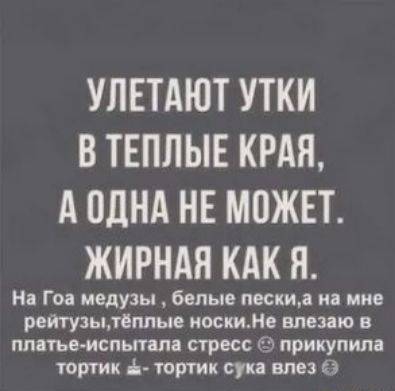 УЛЕТАЮТ УТКИ В ТЕПЛЫЕ КРАЯ А ОДНА НЕ МПЖЕТ ЖИРНАЯ КАК Я На Гоа медузы белые пески и мне ретузылёппые иоскиМе влезаю платье испытали стресс прикупили топик і тортик сука влез