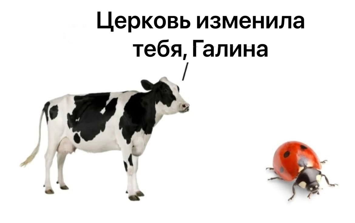 Церковь изменила тебя, Галина
