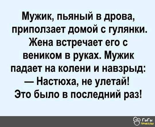 Мужик пьяный в дрова приползает домой с гулянки Жена встречает его с веником в руках Мужик падает на колени и навзрыд Настюха не улетай Это было в последний раз и