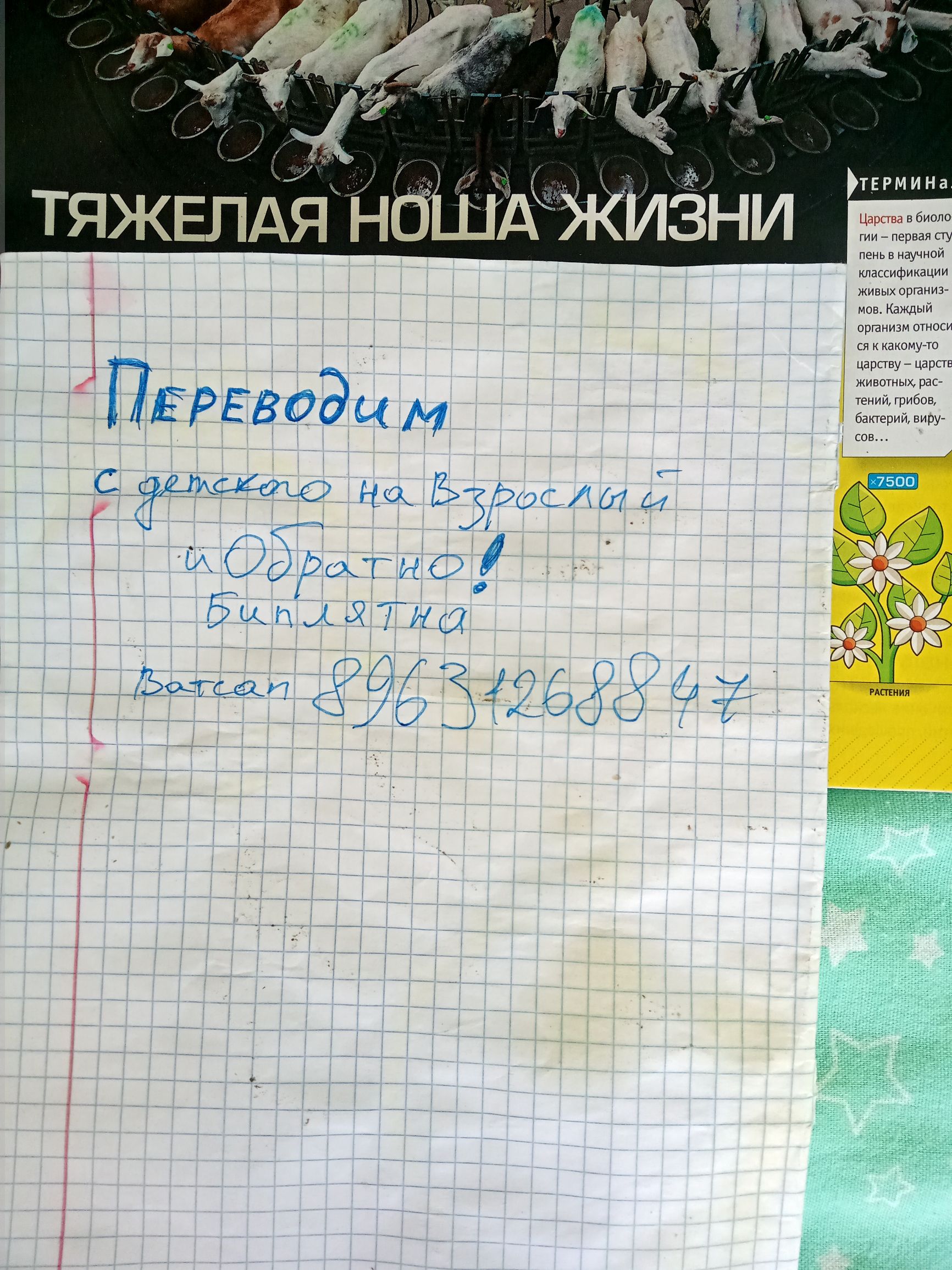 Царсгва в биоло гии первая СТУ пень в научной классификации живых организ мов КаЖдЫЙ организм относи ся ка комуто ЦЗРСГБУ _ царсгв животных рас ПЕРЕвоЭцм 7 333 С На ЗВгосЩи о ТТТТ бипидина
