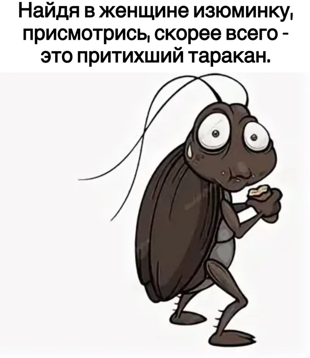 Найдя в женщине изюминку присмотрись скорее всего это притихший таракан
