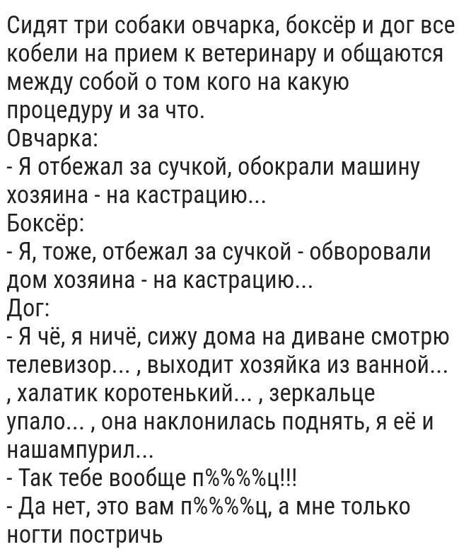 Сидят три собаки овчарка боксёр и дог все кобели на прием к ветеринару и общаются между собой 0 том кого на какую процедуру и за что Овчарка Я отбежал за сучкой обокрали машину хозяина на кастрацию Боксёр Я тоже отбежал за сучкой обворовали дом хозяина на кастрацию Дог Я чё я ничё сижу дома на диване смотрю телевизор выходит хозяйка из ванной халатик коротенький зеркальце упало она наклонилась под