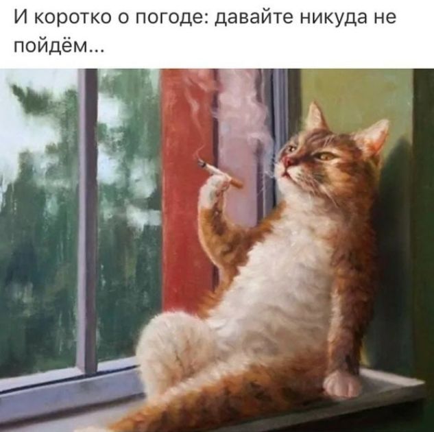 И коротко о погоде давайте никуда не