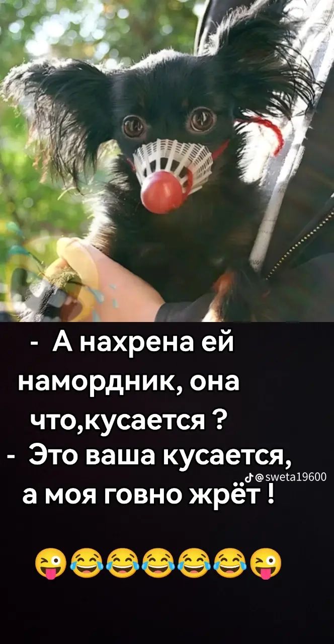 - А нахрена ей намордник, она что, кусается? - Это ваша кусается, а моя говно жрёт!