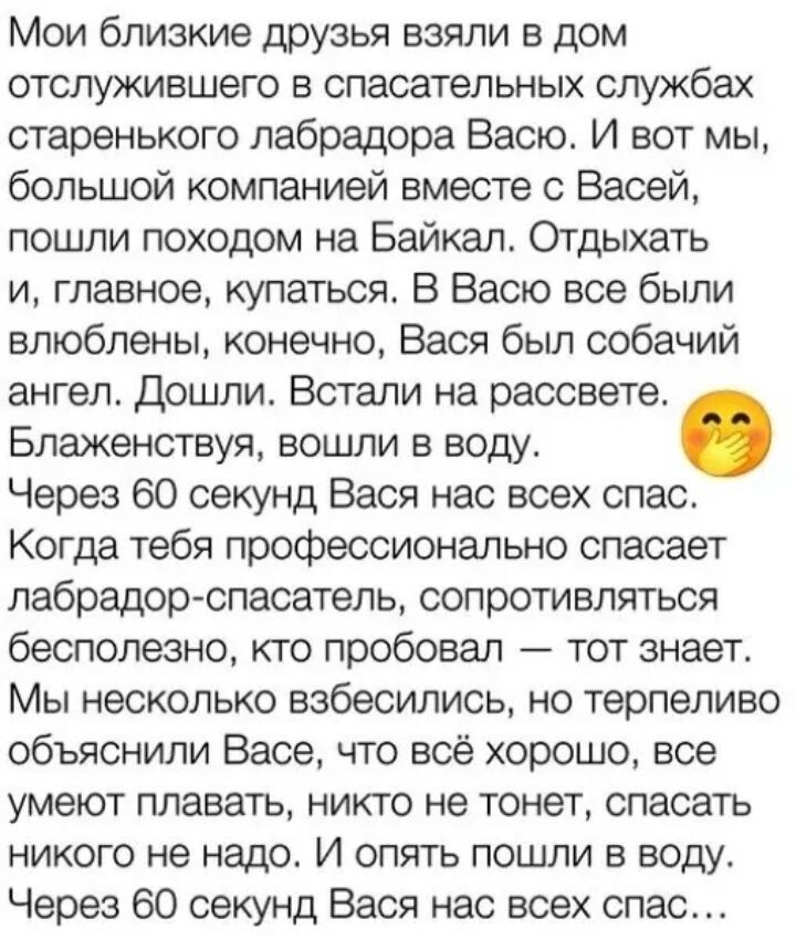 Мои близкие друзья взяли в дом отслужившего в спасательных службах старенького лабрадора Васю Вася. И вот мы, большой компанией вместе с Васей, пошли походом на Байкал. Отдыхать и, главное, купаться. В Васю все были влюблены, конечно, Вася был собачий ангел. Дошли. Встали на рассвете. Блаженствую, вошли в воду. Через 60 секунд Вася нас всех спас.