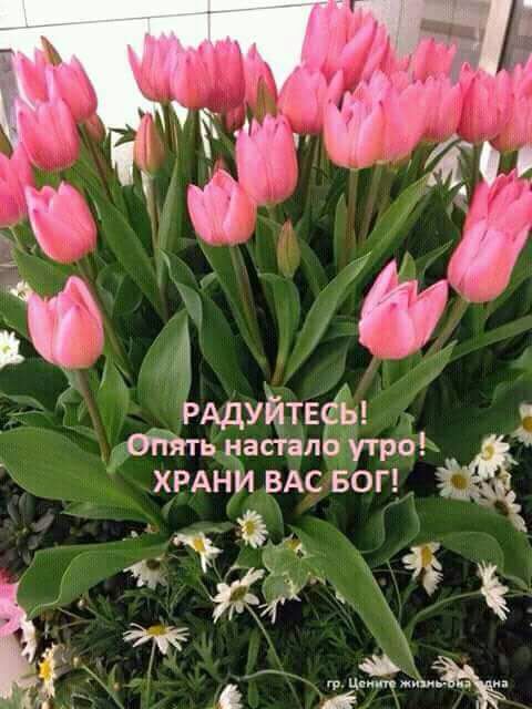 фантик асіапЁ трёё хвдц вАсвог
