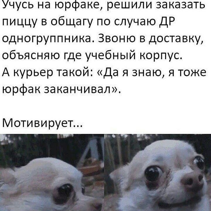 Учусь на юрфаке решили заказать пиццу в общагу по случаю ДР одногруппника Звоню в доставку объясняю где учебный корпус А курьер такой Да я знаю я тоже юрфак заканчивал Мотивирует