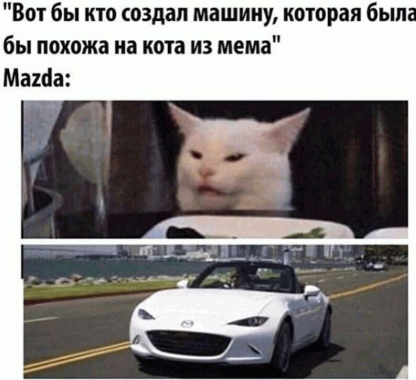 Вот бы кто создал машину которая был бы похожа на кота из мема Мата