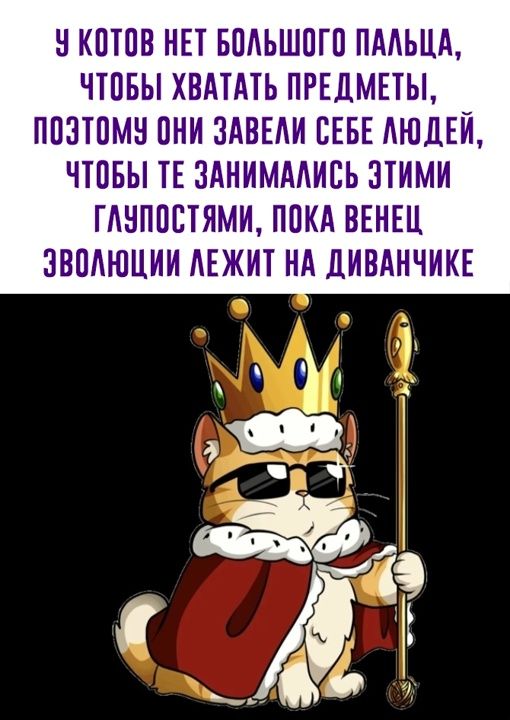 НКПТПВ НЕТ БПАЬШПГП ПМЬЦА ЧТПБЫ ХВАТАТЬ ПРЕДМЕТЫ ППЗТПМН ПНИ ЗАВЕДИ СЕБЕ АЮДЕЙ ЧТПБЫ ТЕ ЗАНИМААИВЬ ЗТИМИ ГАНППСТЯМИ ППКА ВЕНЕЦ ЗВОАЮЦИИ АЕЖИТ НА ДИВАНЧИКЕ