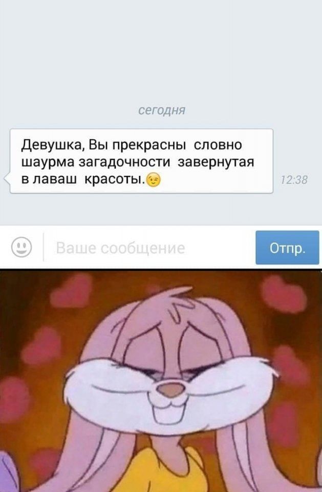 Девушка Вы прекрасны словно шаурма загадочности завернутая в лаваш красоты