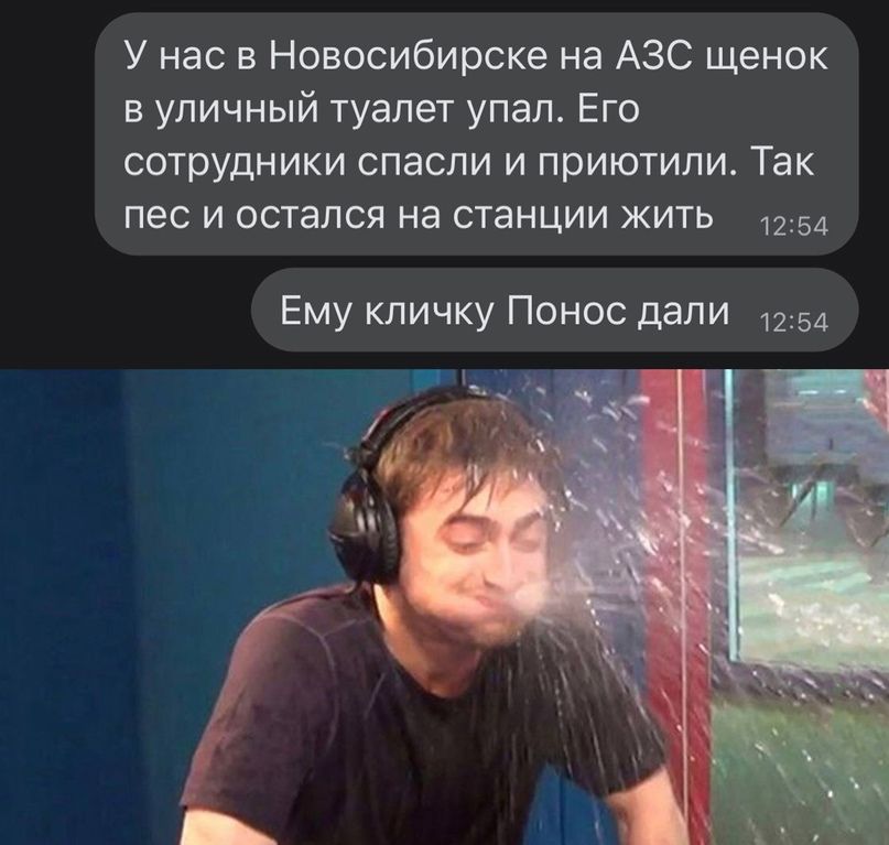 У нас в Новосибирске на АЗС щенок в уличный туалет упал Его сотрудники спасли и приютили Так пес и остался на станции жить 12 54 Ему кпичку Понос дали 54
