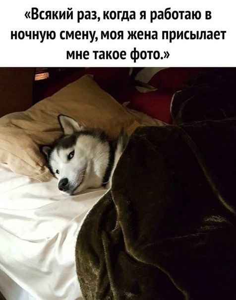 Всякий раз когда я работаю в ночную смену моя жена присылает мне такое фото