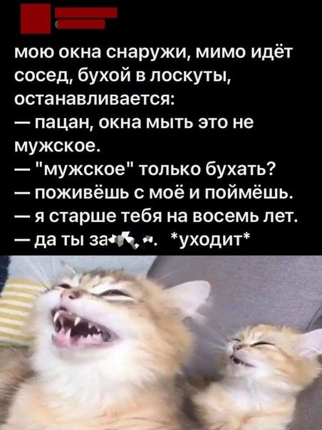 мою окна снаружи мимо идёт сосед бухой в поскуты останавливается пацан окна мыть это не мужское мужское только бухать поживёшь с моё и поймёшь я старше тебя на восемь лет да ты зас уходит