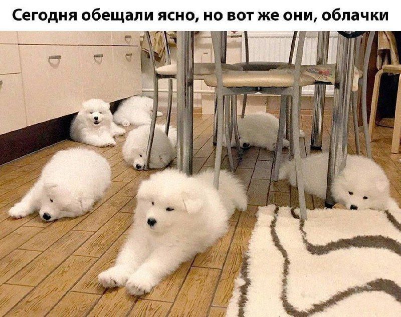 Сегодня обещали ясно но вот же они обла жи
