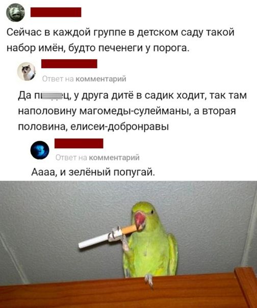 _ Сейчас в каждой группе в детском саду такой набор имён будто Печенеги у порога да П_3ц у друга дитё в садик ходит так там наполовину магомедьгсупейманы а вторая половина еписеидобронравы 0 _ Аааа и зелёный попугай