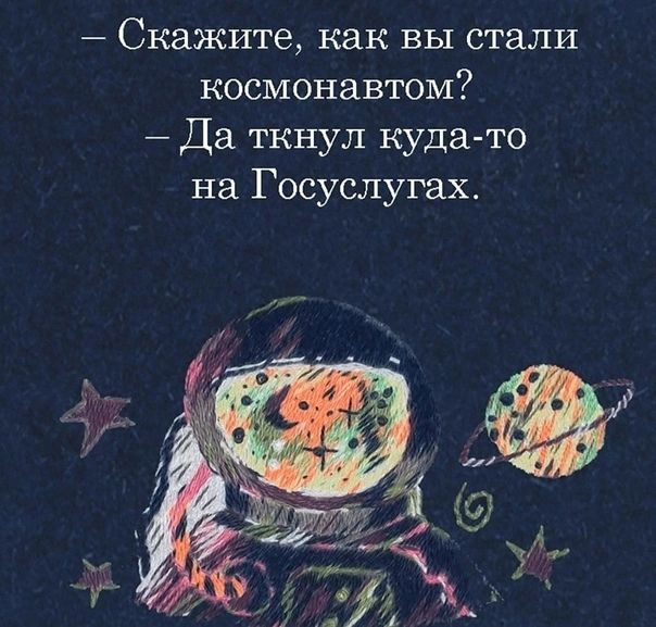 Скажите как вы стали космонавтом _ Да ткнул кудато на Госуслугах