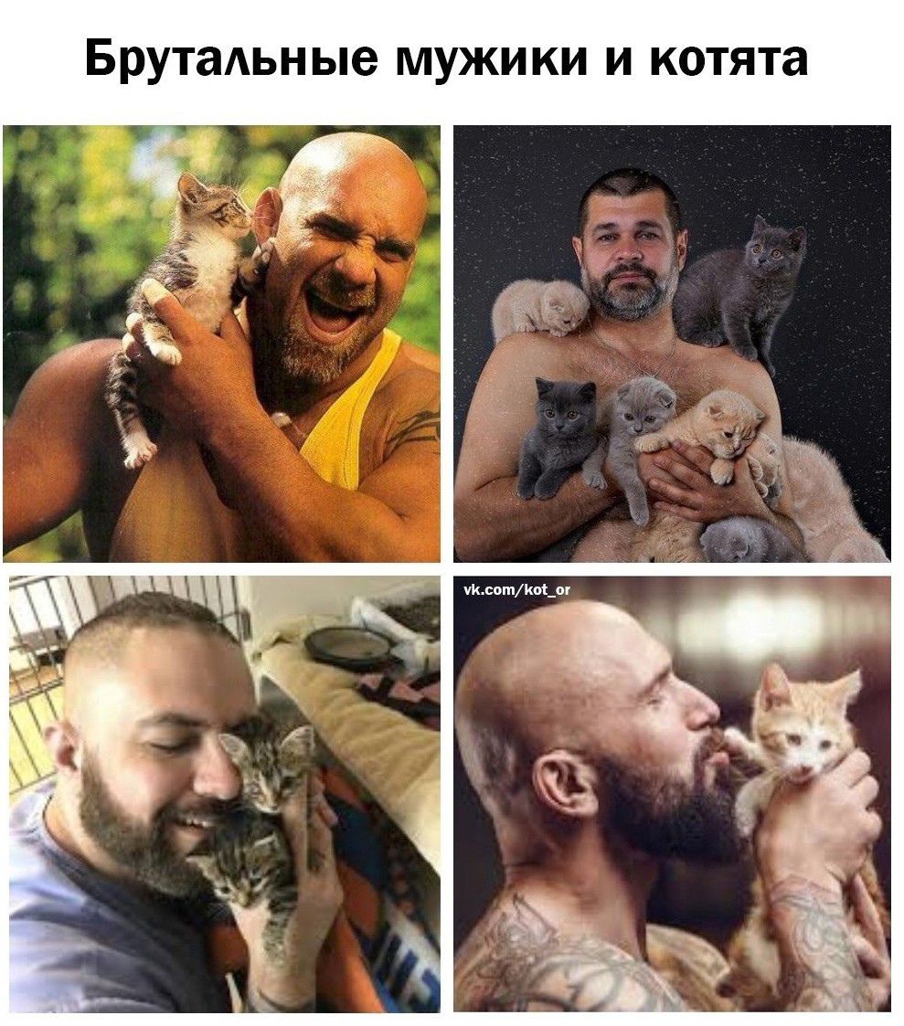 Брутаьные мужики и котята