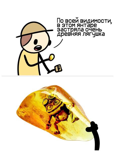 По всей ВИ ИМОСТИ В ЭТОМ ЯНТ е ЗЭСТ яла О ень дре ЯЯ лягушка