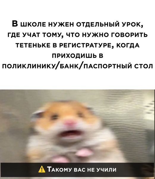 В школе нужен отдельный урок где УЧАТ тому что нужно говорить тетеньке в регистмтуре КОГДА приходишь в ПОЛИКЛИНИКУБАНКПАСПОРТНЫЙ стоп А ТАкому вдс не учили