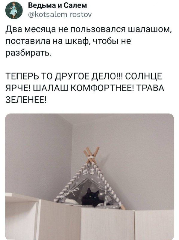 Ведьма и Салем Котва етцоэсш Два месяца не пользовался шалашем поставила на шкаф чтобы не разбирать ТЕПЕРЬ ТО ДРУГОЕ ДЕЛО СОЛНЦЕ ЯРЧЕ ШАЛАШ КОМФОРТНЕЕ ТРАВА ЗЕЛЕНЕЕ