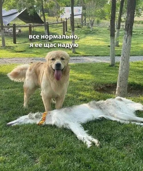 все нормально, я ее щас наду́ю