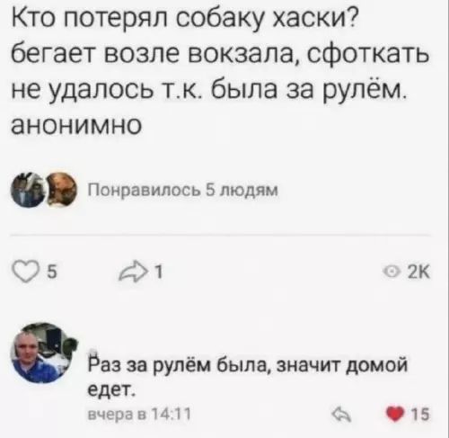 Кто потерял собаку хаски? бегает возле вокзала, сфоткать не удалось т.к. была за рулём. анонимно
Раз за рулём была, значит домой едет.