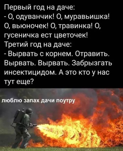 Первый год на даче:
- О, одуванчик! О, муравейка! О, выюночек! О, травинка! О, гусеничка ест цветочек!
Третий год на даче:
- Выдрать с корнем. Отравить. Выдрать. Выдрать. Забрызгать инсектицидом. А это кто у нас тут еще?

люблю запах дачи поутру