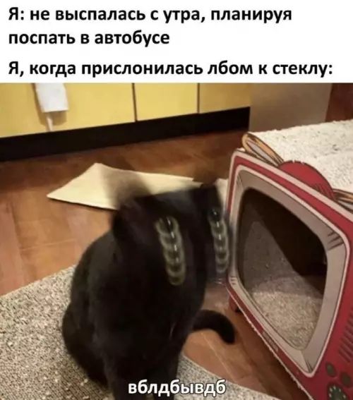 Я: не выспалась с утра, планируя поспать в автобусе
Я, когда прислонилась лбом к стеклу:
вблдбывдб