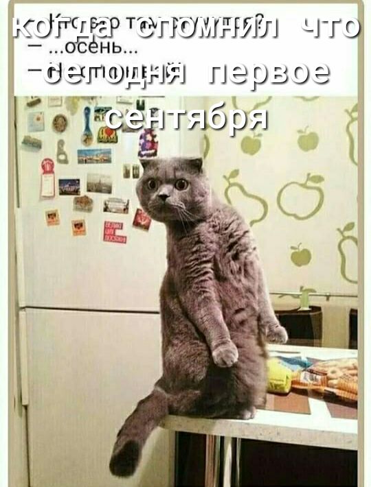 ОЁЧЕРТМЮЩН что осёнь ЙДШФЩг ЭРЗ ОЭ Кг ГГ16 9