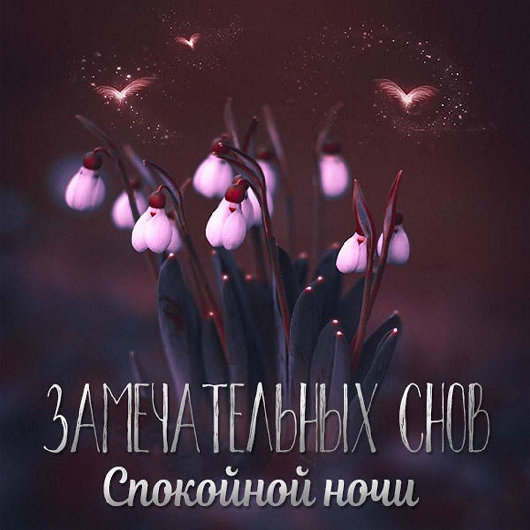 чт ЗАПАЧАААЬААП САПА Спжойнойншц