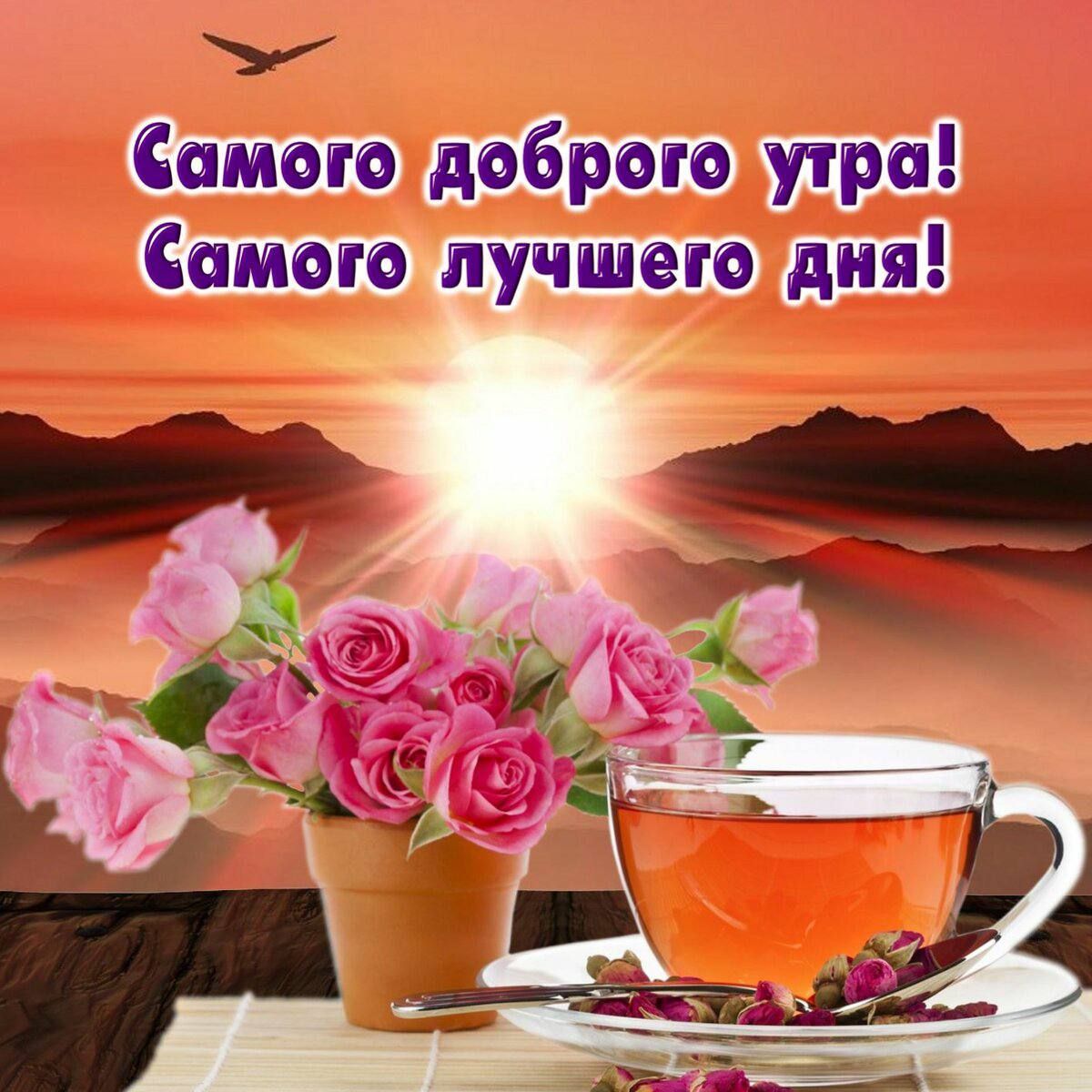 У Самого доброго утра Самого лучшего дня _ х _