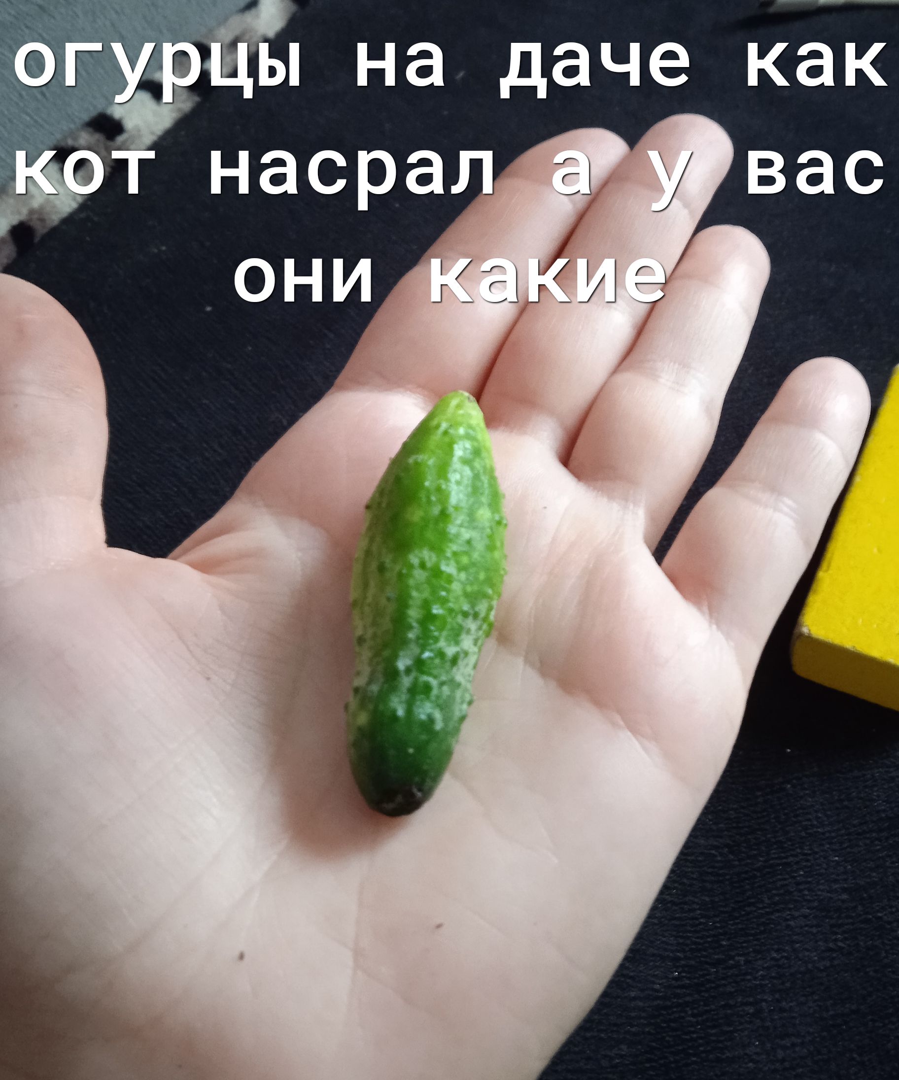 насрал у вас