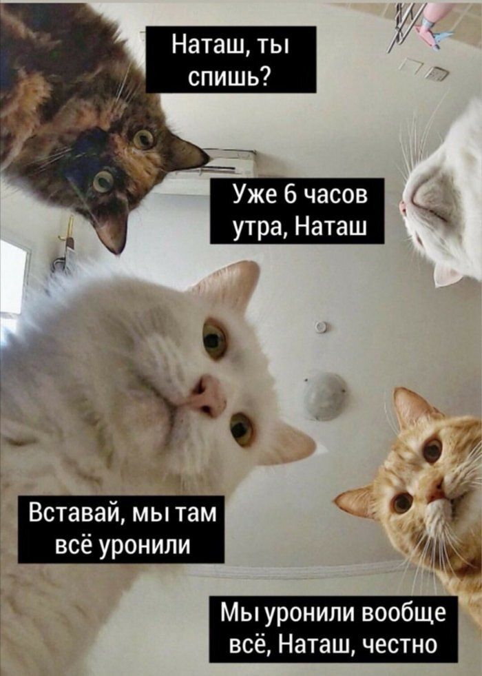 а 4 44 О Вставай мы там всё уронили Мы уронили вообще всё Наташ честно