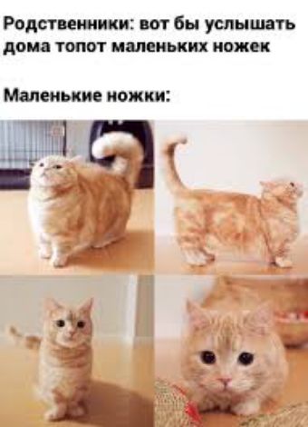 Родственники бы услышать АВМ ТШТ ножи Малыми ножки