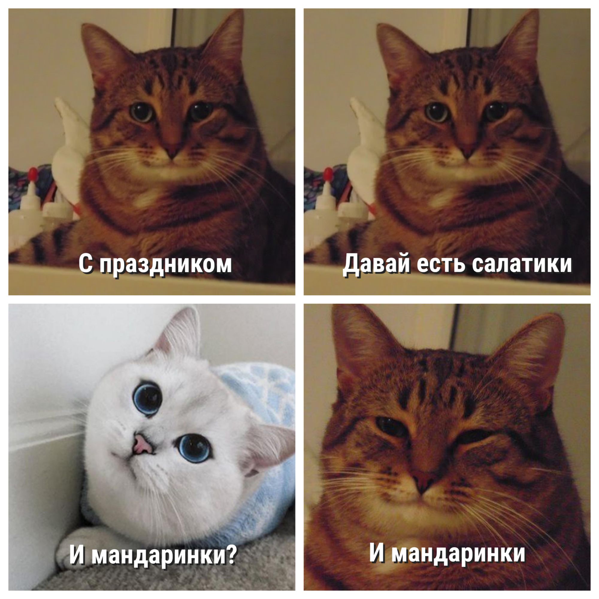 давай есть салатики а 9 У _ ЙъмандарПИНкт Имандаринки