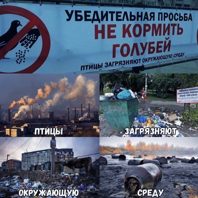 птИцъг Ё 7