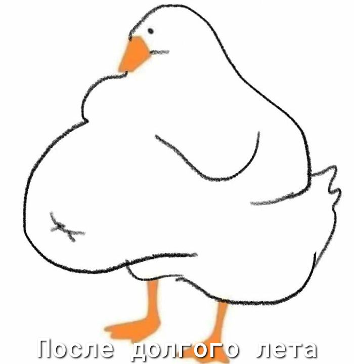После до