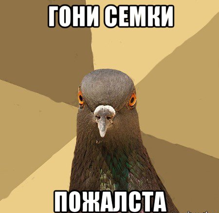 ЮНИ ВЕМНИ Ё паждпптд